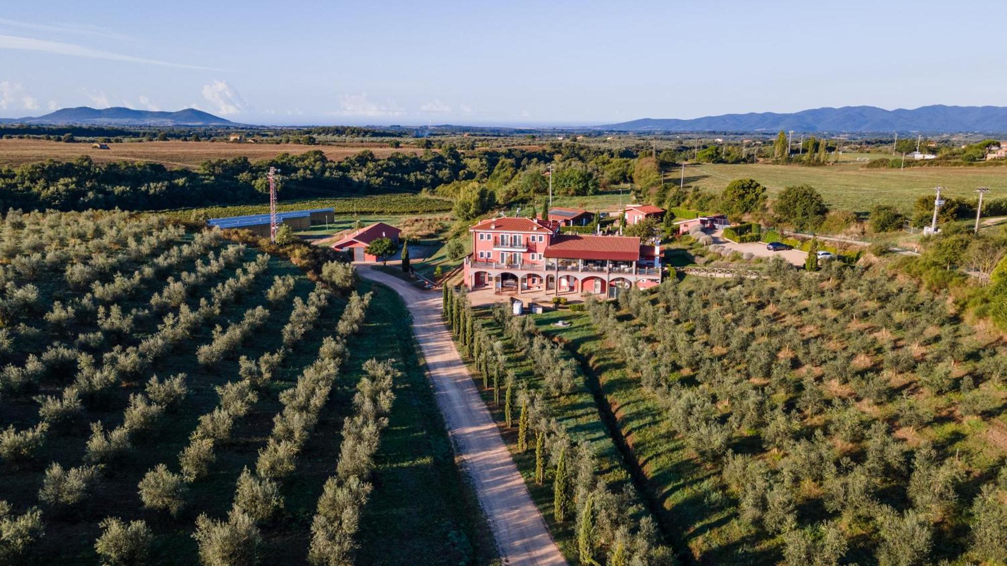 Il Podere Di Marfisa Farnese المظهر الخارجي الصورة