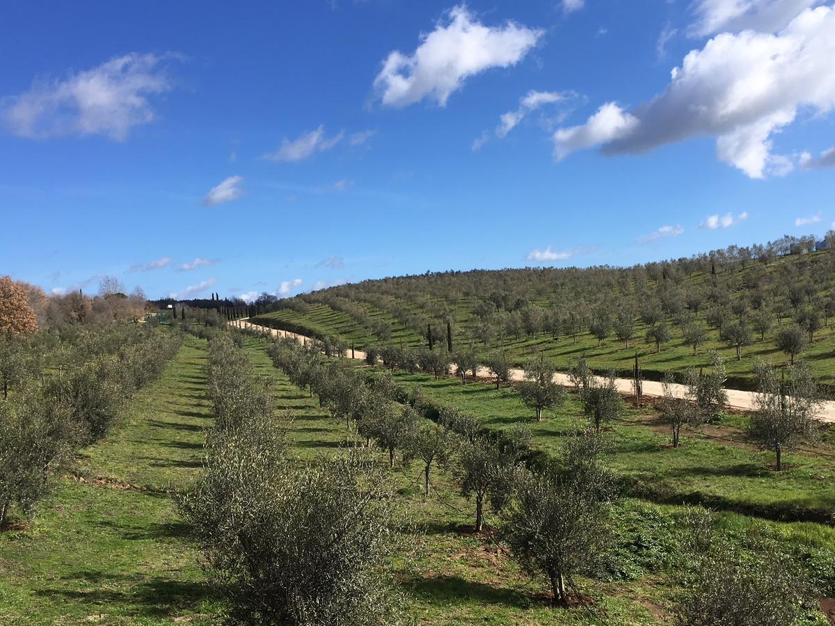 Il Podere Di Marfisa Farnese المظهر الخارجي الصورة
